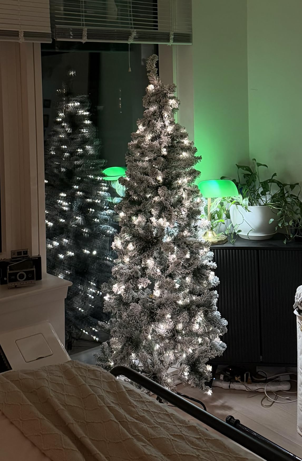 National Tree Company 6ft Pre-Lit Flocked Acacia Slim Christmas Tree customer photo 2