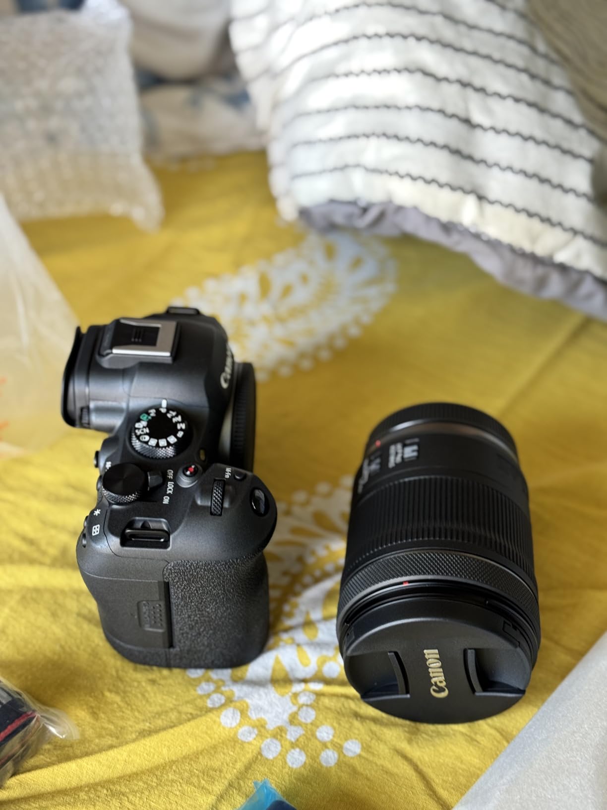 Canon EOS R6 Mark II Mirrorless Camera RF24-105mm F4-7.1 is STM Lens Kit, Full-Frame Hybrid Camera, 24.2 Megapixel CMOS Sensor, Photo and Video Capabilities, Black customer photo 1