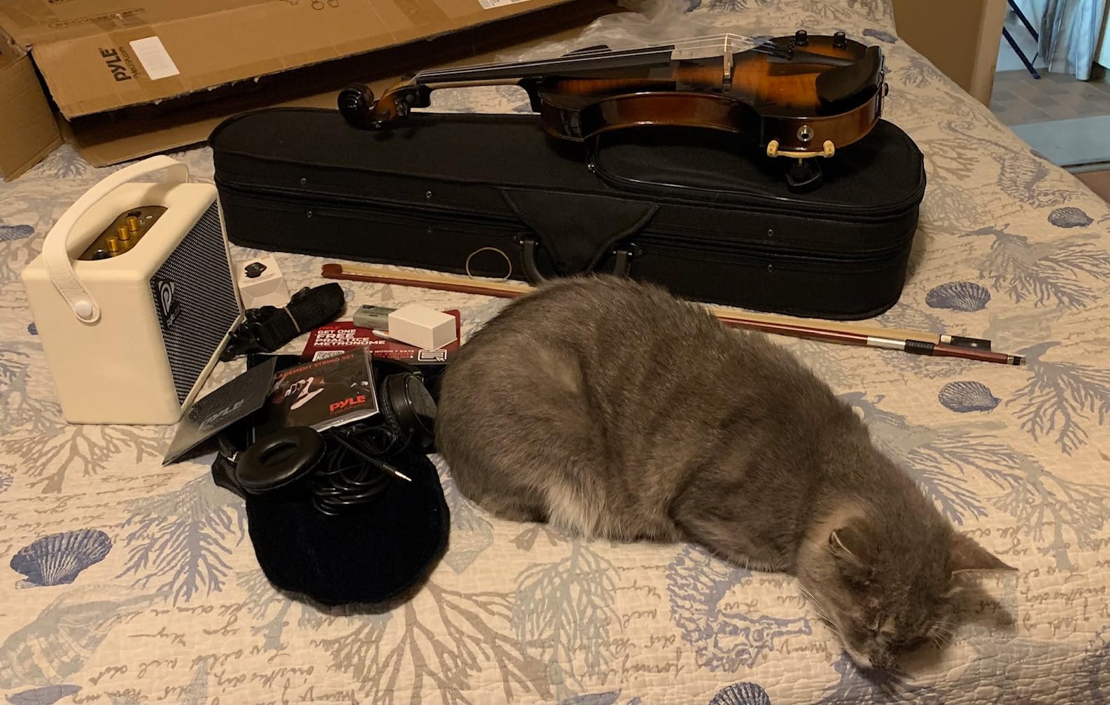 Pyle Full Size Electric Violin Kit - 4/4 Solid Wood Silent Fiddle with Hard Case, Bow, Ebony Fittings, and Digital Tuner customer photo 2