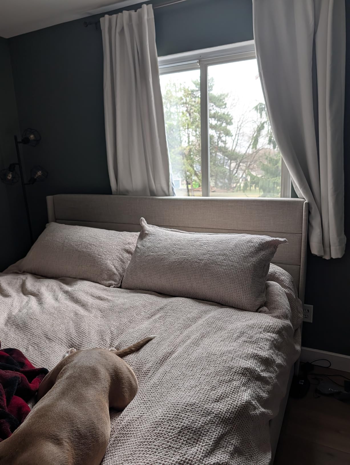 SHA CERLIN Queen Size Lift Up Hydraulic Storage Bed Frame Light Beige | Modern Wingback Headboard, Upholstered Platform Bed Frame, Hydraulic Underneath Storage, No Box Spring Needed customer photo 1