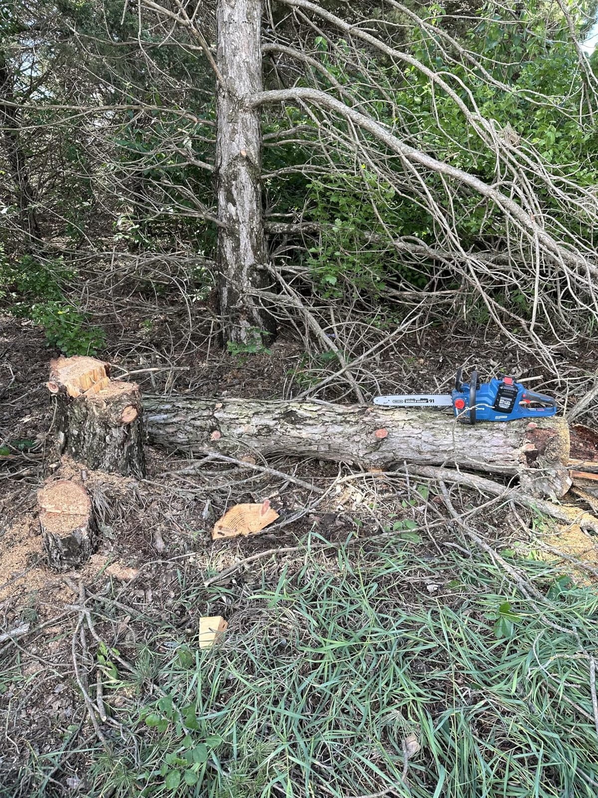 DongCheng 40V 16-Inch Brushless Cordless Chainsaw with 2x4.0Ah Batteries – Gas-Like Power for Tree Felling, Storm Cleanup & Firewood, Tool-Free Tensioning, Auto Oiler, Chain Brake customer photo 1