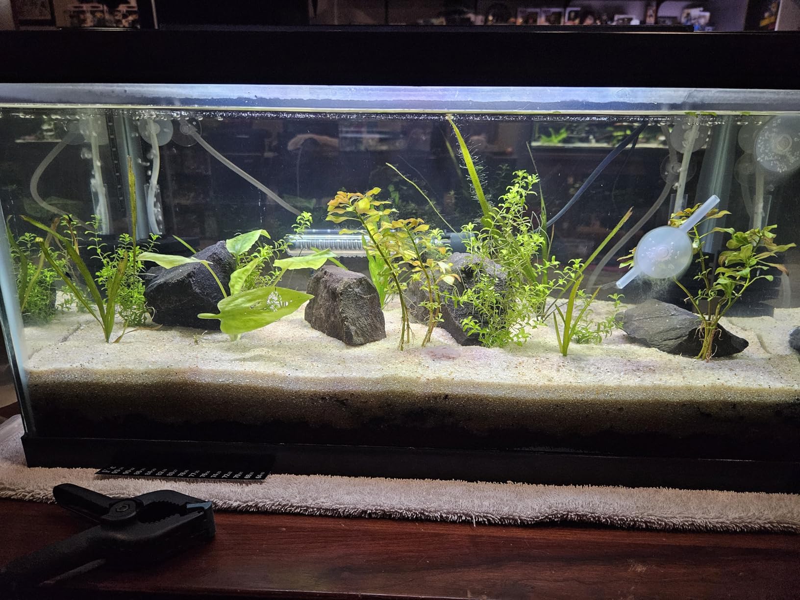 NICREW C10 Plant Aquarium Light, 18-24 in, 13W, Full Spectrum with Timer customer photo 1