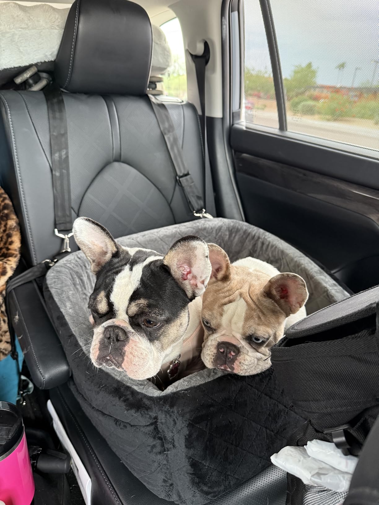 NEEZUKAR Dog Car Seat for Small Medium Dogs,Detachable Washable Dog Booster Seat Under 30lbs, Pet Car Seat Travel Bed with Storage Pockets and Dog Safety Belt (Black) customer photo 2