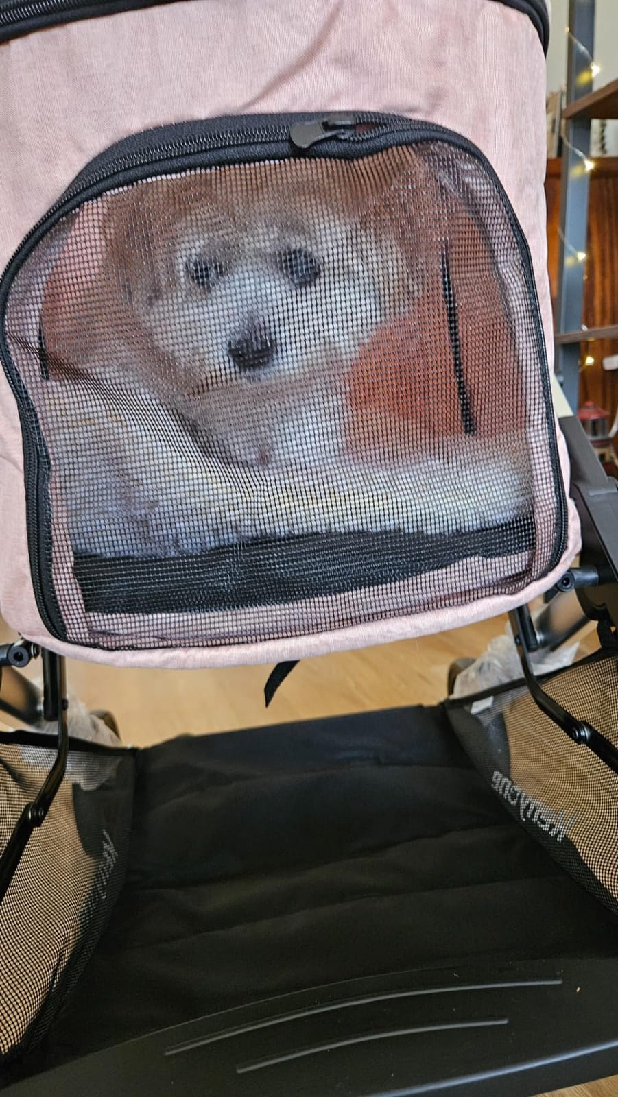 Medium Dog Stroller, Kenyone Pet Stroller for Medium Dogs Up to 55lbs, Lightweight Aluminum Frame, One Click Folding, Large Cat Stroller with No Zip Entry, Detachable Mesh, Multiple Pockets customer photo 1