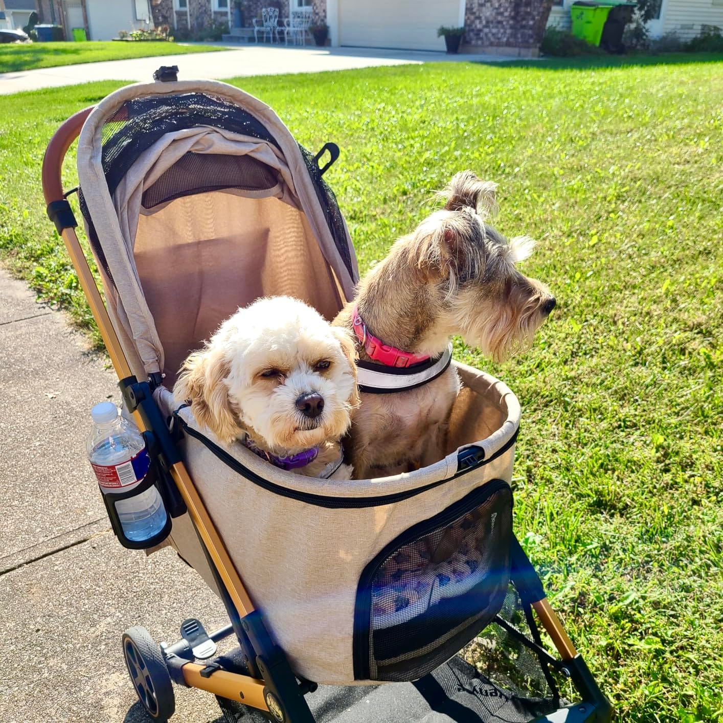 Medium Dog Stroller, Kenyone Pet Stroller for Medium Dogs Up to 55lbs, Lightweight Aluminum Frame, One Click Folding, Large Cat Stroller with No Zip Entry, Detachable Mesh, Multiple Pockets customer photo 2