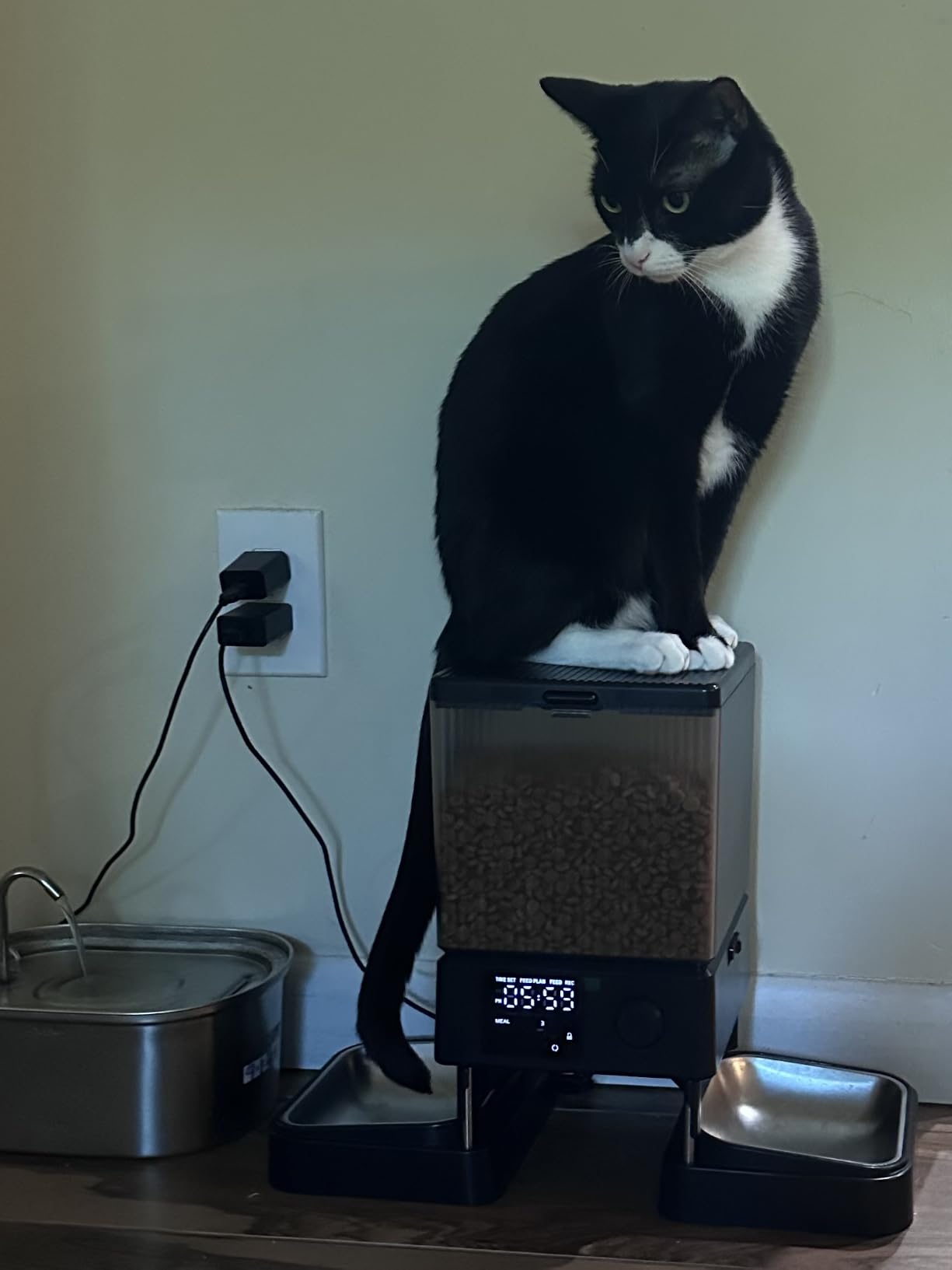 oneisall Automatic Cat Feeder for 2 Cats Pets, Timed Cat Food Dispenser customer photo 2