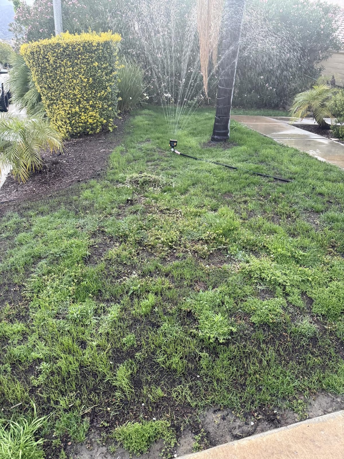 Melnor MiniMax Spike Sprinkler, 4000 Sq Ft: 360°, Flow, Width, Range Adjust customer photo 1