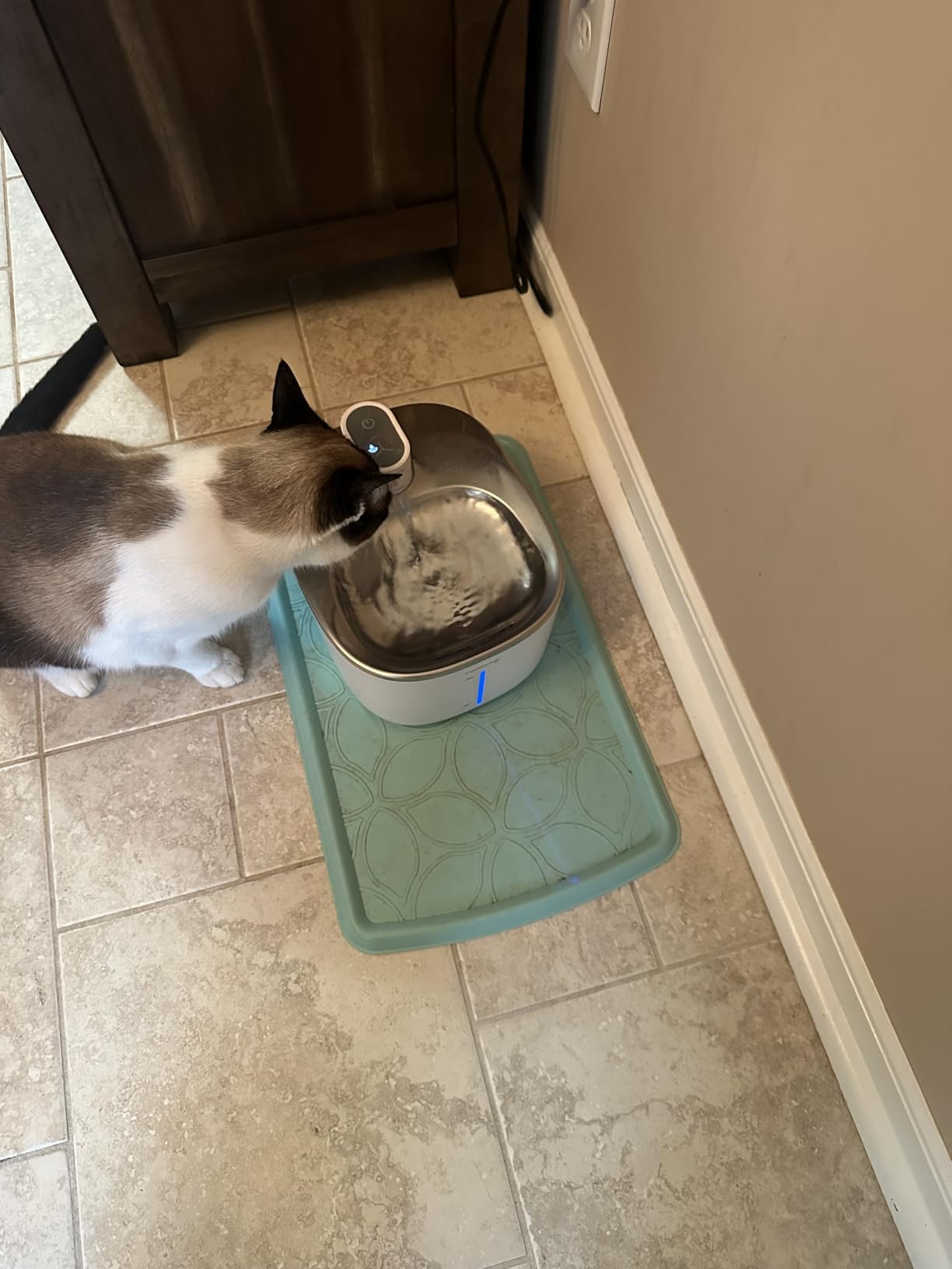 FEELNEEDY Wireless Cat Water Fountain Battery Operated, 4L/135 fl oz Pet Water Fountain for Cats and Dogs with Motion Sensor, Ultra Quiet Cat Drinking Fountain with 2 Filters (Black YPD-C004P) customer photo 2