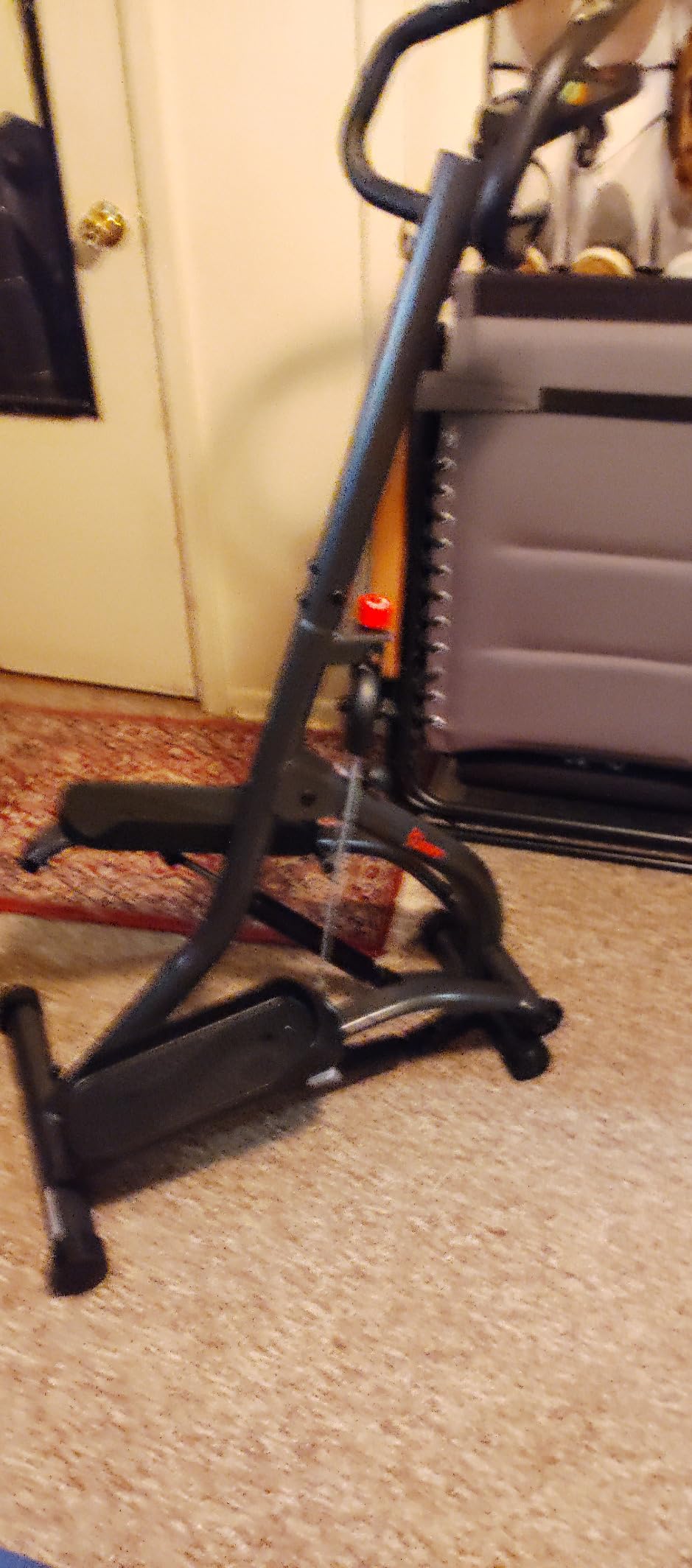 Sunny Health & Fitness Extended Stride Climbing Stair Stepper w/Handlebar customer photo 1