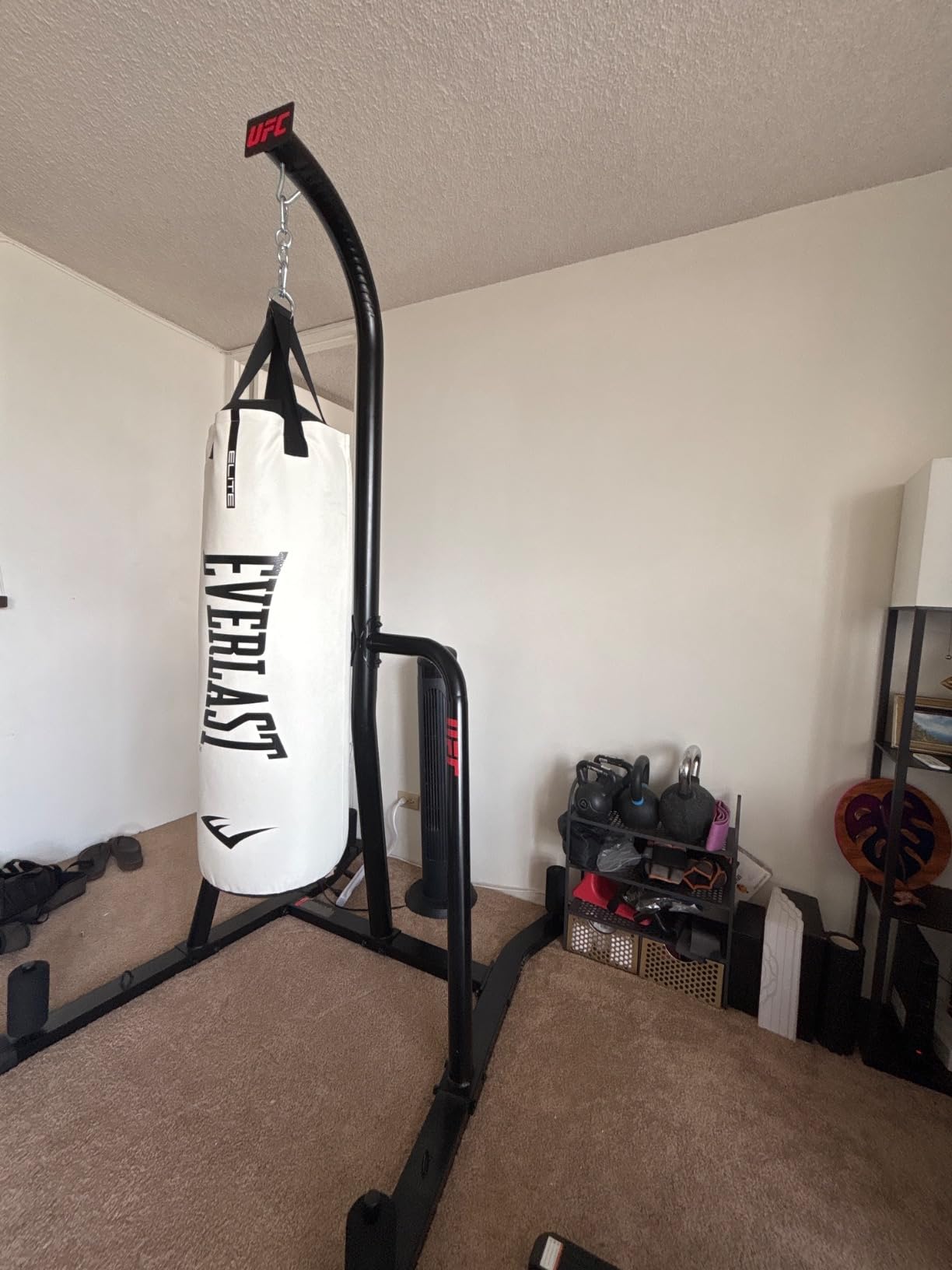 Everlast Elite Punching Bag | Durable Boxing MMA, Adults | Muay Thai customer photo 2