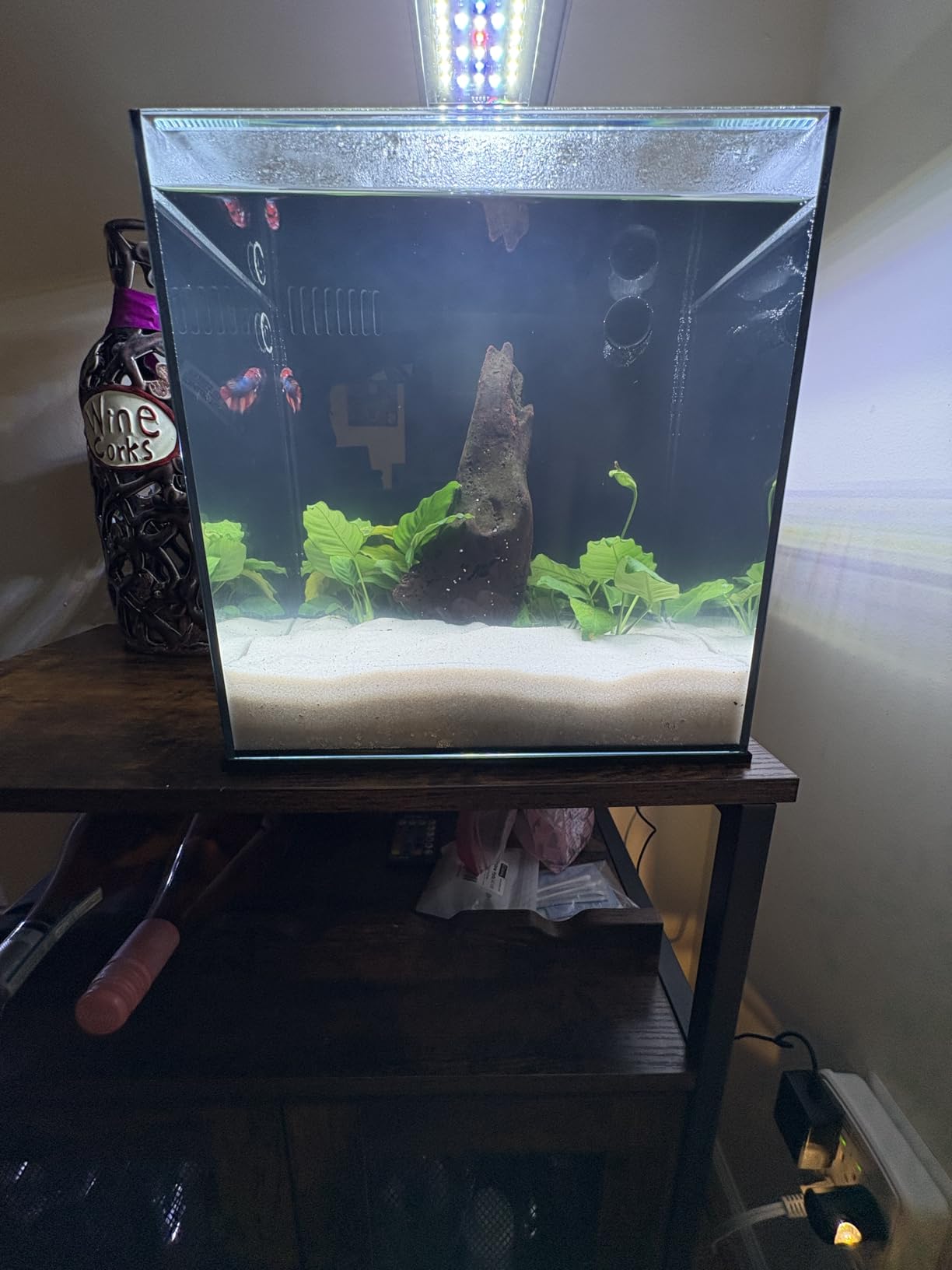 Ultum Nature Systems Dual AIO - Freshwater/Saltwater Compatible All in One Rimless Tank with Triple Chamber Filtration System, Integrated Filter Aquarium w/Leveling Mat - 17 Gallon, 40A, Black customer photo 1