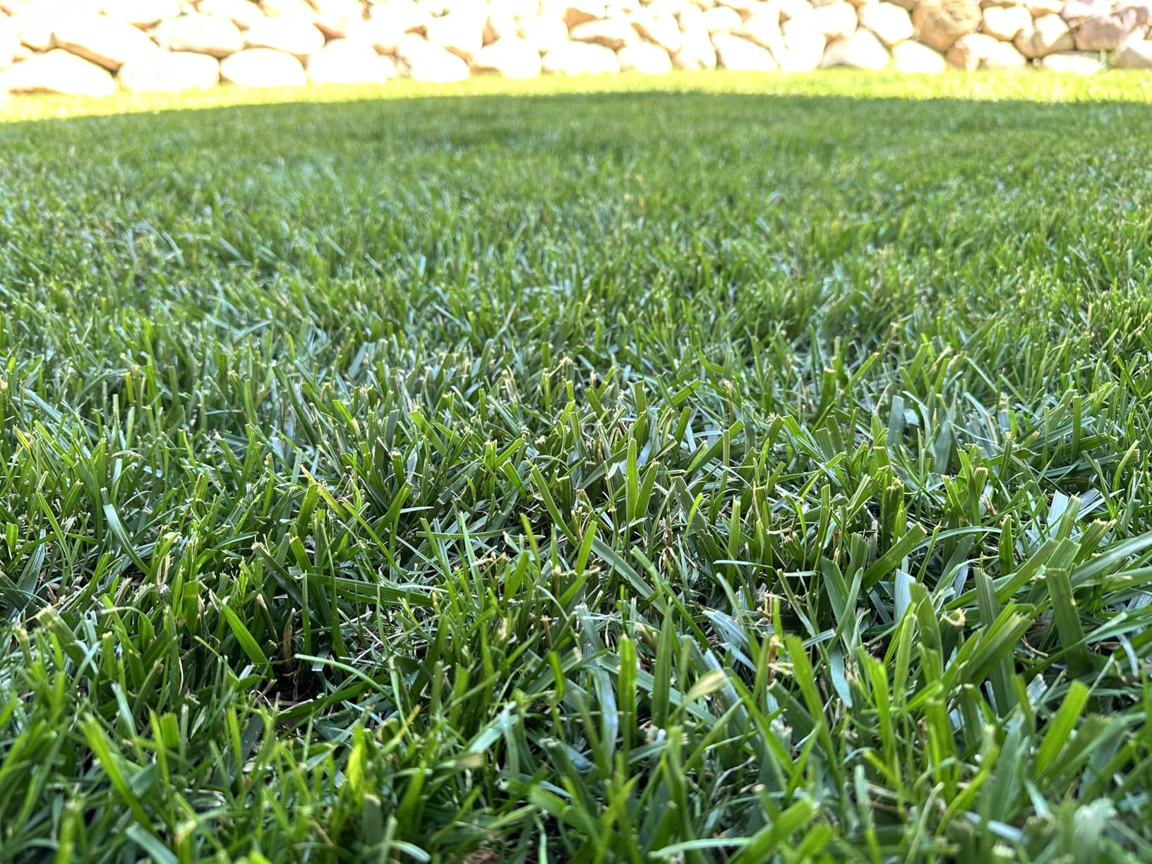 Greenworks 80V 21in Self-Propelled Lawn Mower, 4.0 Ah Battery and Charger customer photo 1