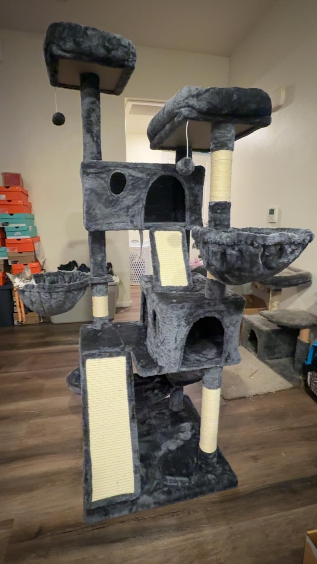 SHA CERLIN 65in Larger Cat Tree Tower Condo for Indoor Kitties/Multi-Level Furniture Activity Center with Wide Base/Cozy Plush Cat Perches/Baskets/Sisal Scratching Posts and Hammock/Beige customer photo 1