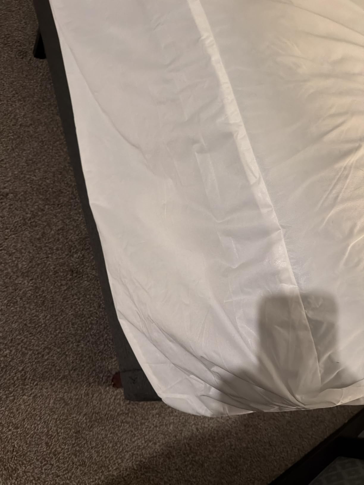 LUX Décor Queen Zippered Mattress Encasement - Bed Bug Proof customer photo 2