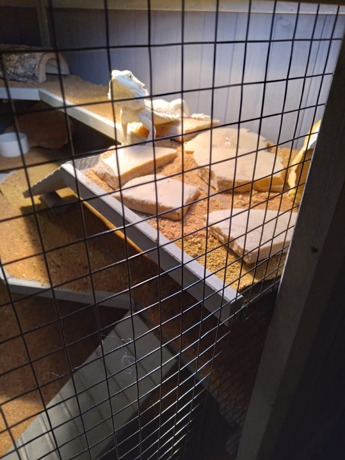 Aivituvin Chew-Proof Metal Guinea Pig Cages with Wheels for 2-4 Guinea Pigs customer photo 1