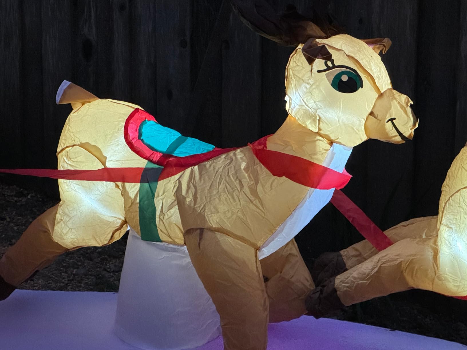 Danxilu Christmas Inflatables 10 FT Long Santa Sleigh and Reindeer Decor customer photo 1