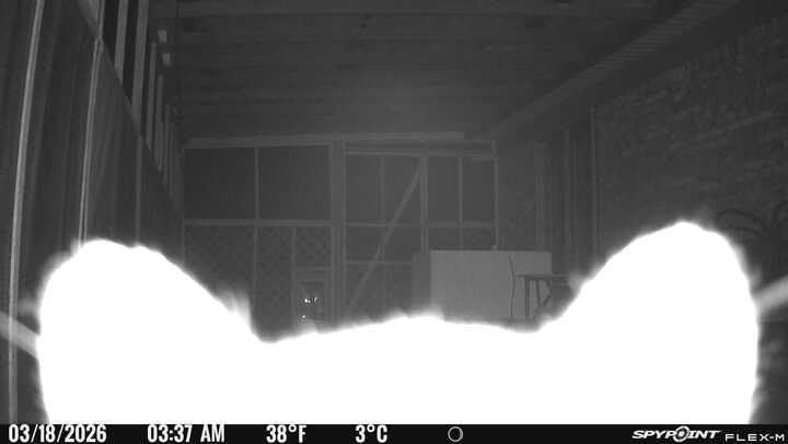 SPYPOINT Flex-M Twin Pack Cellular Trail Cameras - Best Hunting Accessories, No WiFi Needed, GPS, Night Vision, Dual-Sim LTE, IP65 Water-Resistant Game Camera, 28MP Photos, 720p Videos + Sound (2) customer photo 1