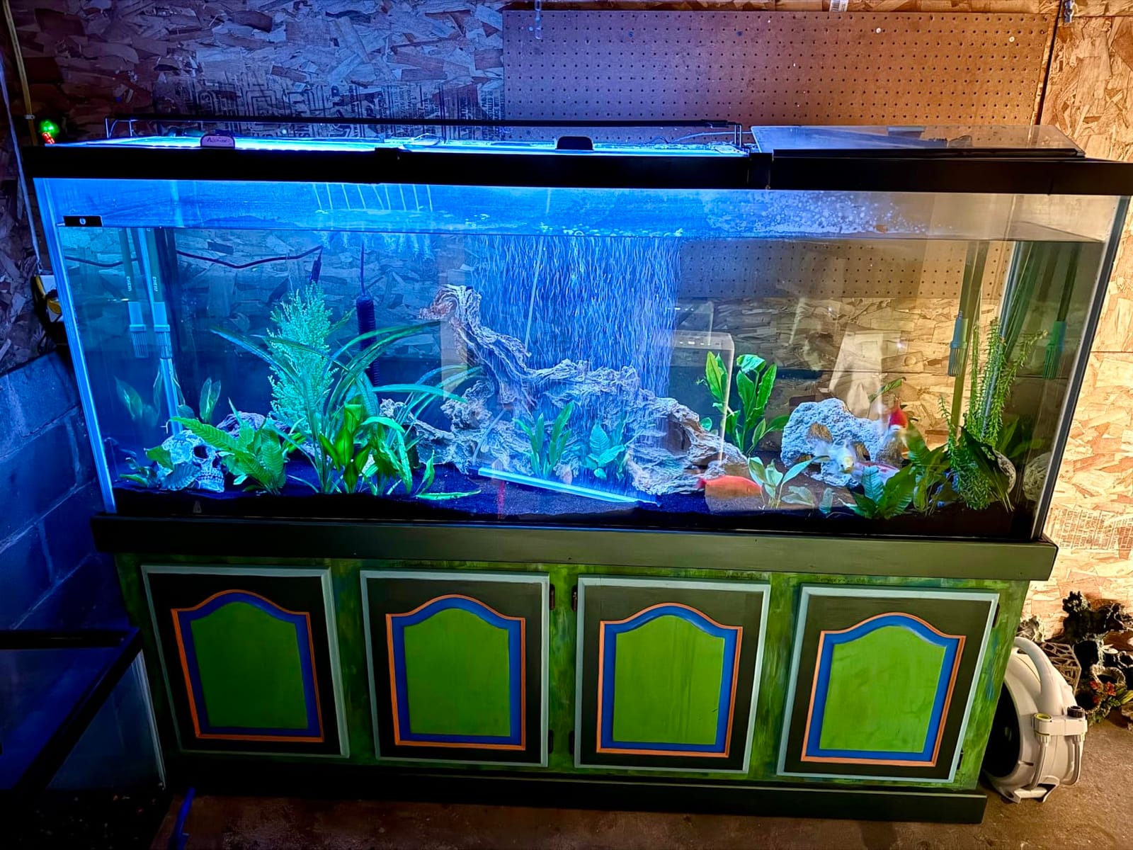 AQQA LED Aquarium Light, 24/7 & DIY Mode Full Spectrum Fish Tank Light customer photo 2