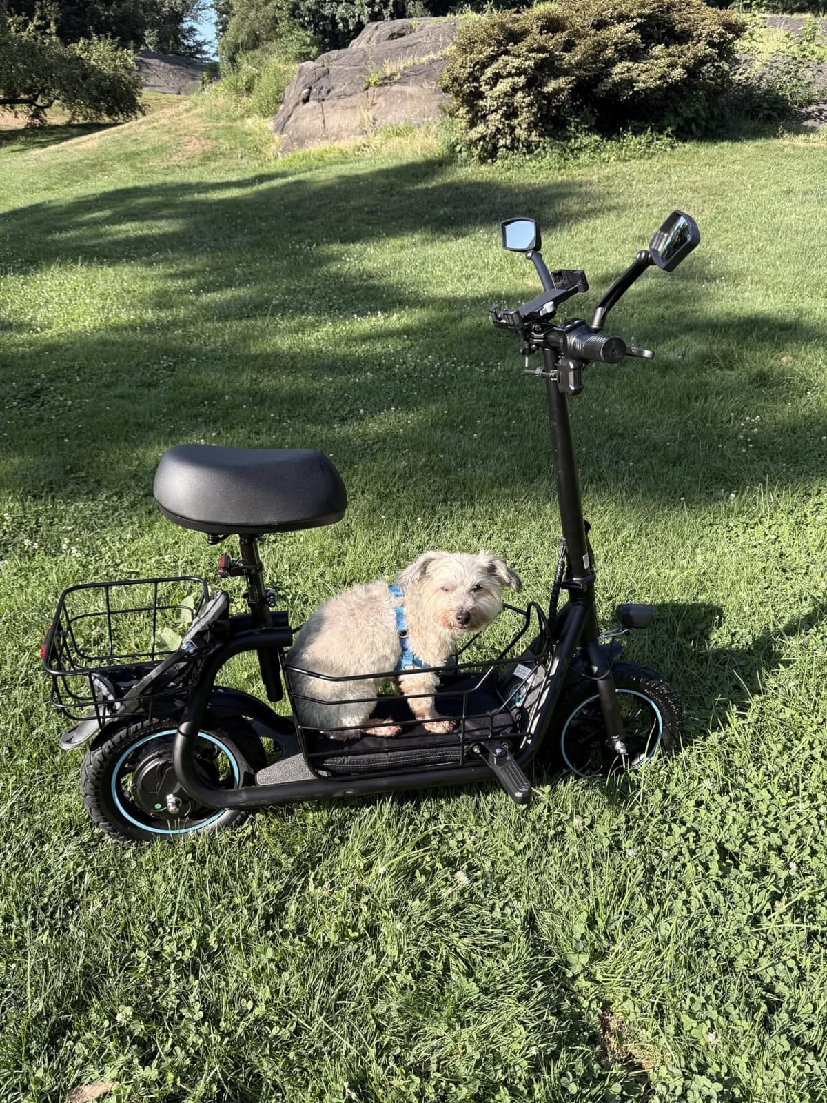 Gyroor Electric Scooter with Seat for Adults 20 Miles Range customer photo 1
