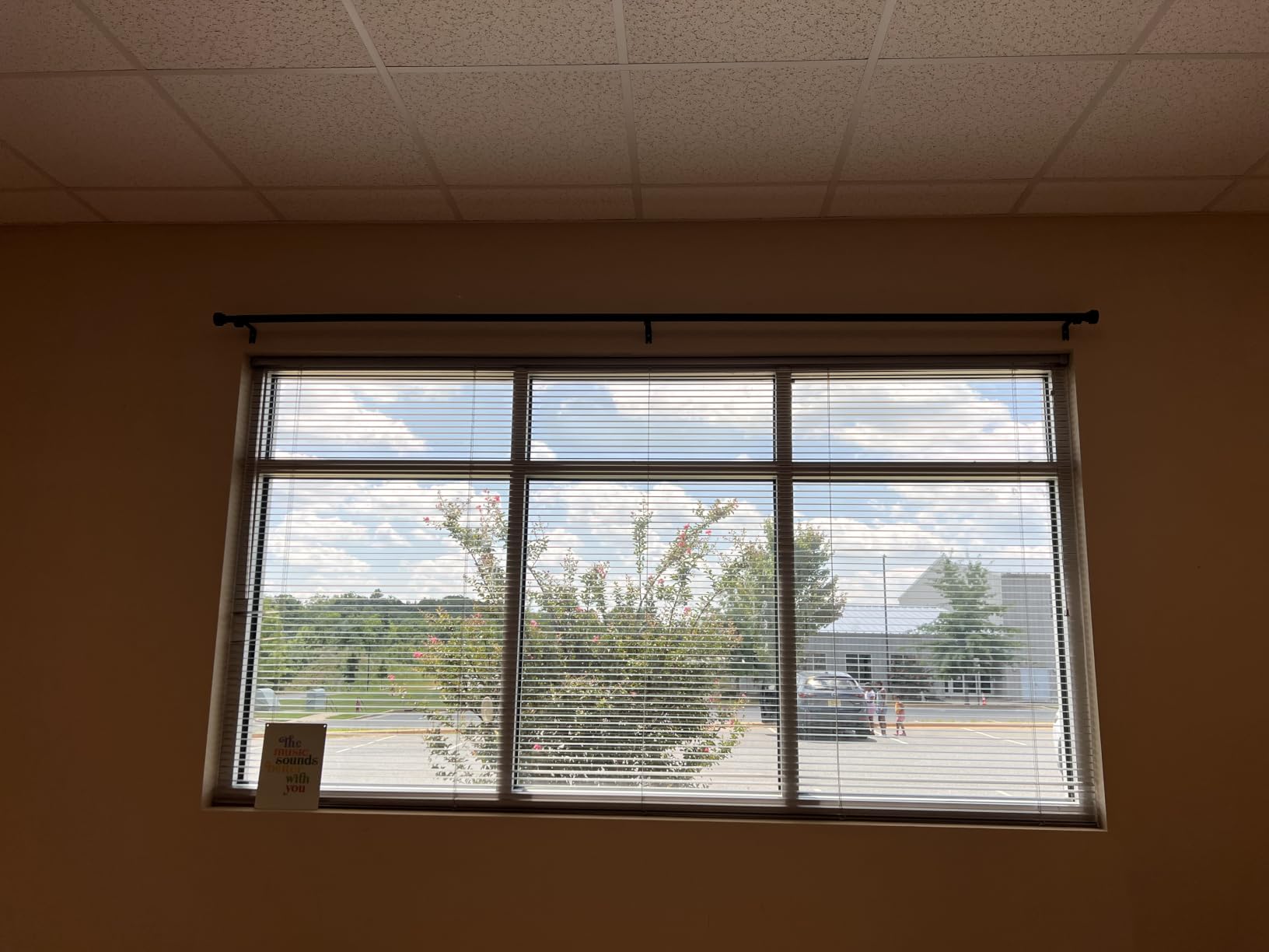 Time Forest Black Curtain Rods for Windows 32 to 120 Inch (2.6-10 Feet), 1 Inch Diameter Adjustable Heavy Duty Curtain Rod, Modern Style Indoor Outdoor Long Window Drapery Rods with End Caps customer photo 2