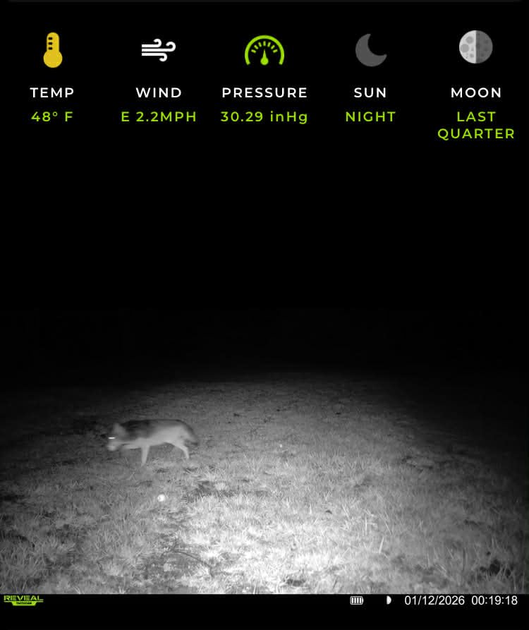 TACTACAM Reveal X 3.0 Cellular Trail Camera, Night Vision, Waterproof customer photo 2