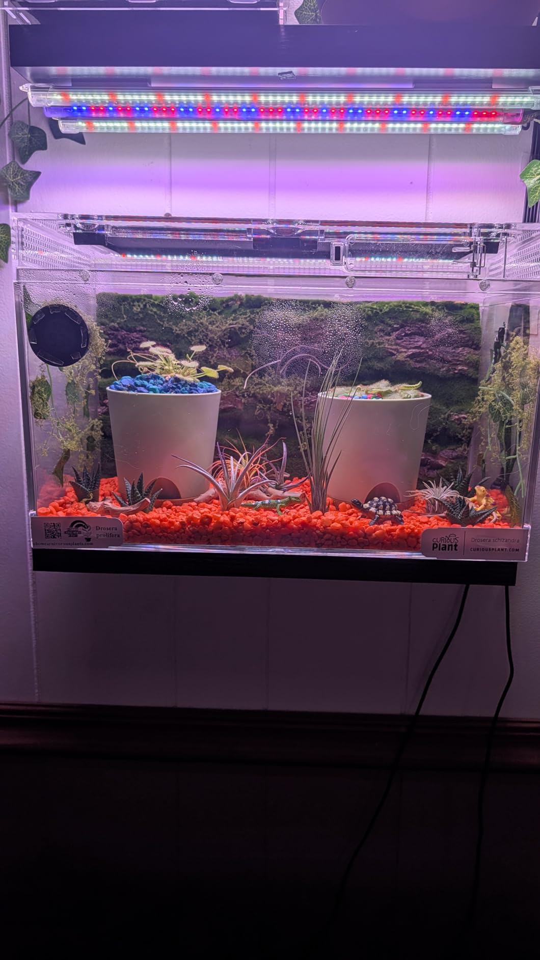 Mini Reptile Terrarium Set,11.8