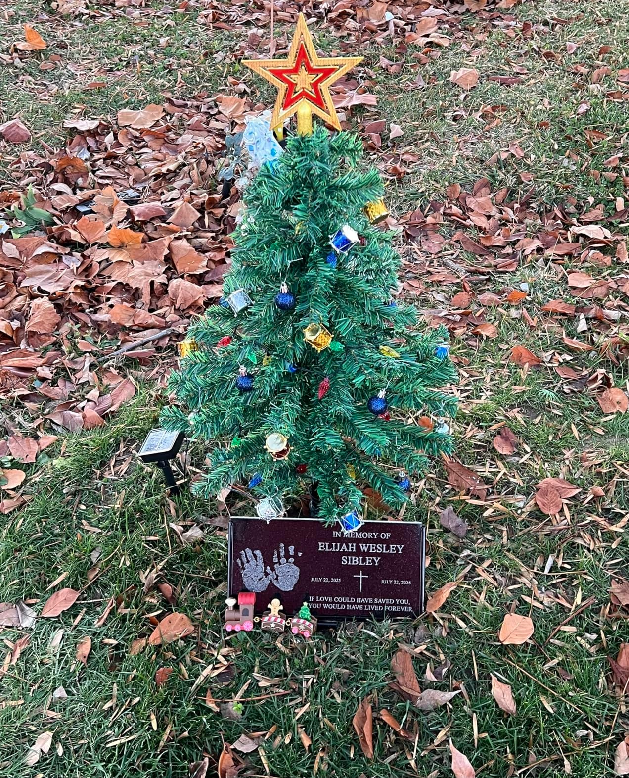 2-Pack 3.6FT Solar Christmas Tree Outdoor Christmas Decorations, 8 Modes Solar Xmas Tree Lights with 100 LED, Waterproof Solar Christmas Lights for Yard Front Porch Pathway Grave Cemetery Decor customer photo 1