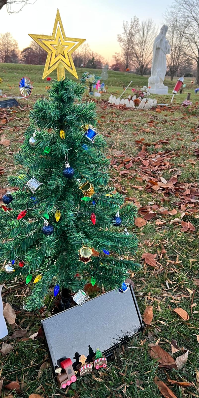 2-Pack 3.6FT Solar Christmas Tree Outdoor Christmas Decorations, 8 Modes Solar Xmas Tree Lights with 100 LED, Waterproof Solar Christmas Lights for Yard Front Porch Pathway Grave Cemetery Decor customer photo 2