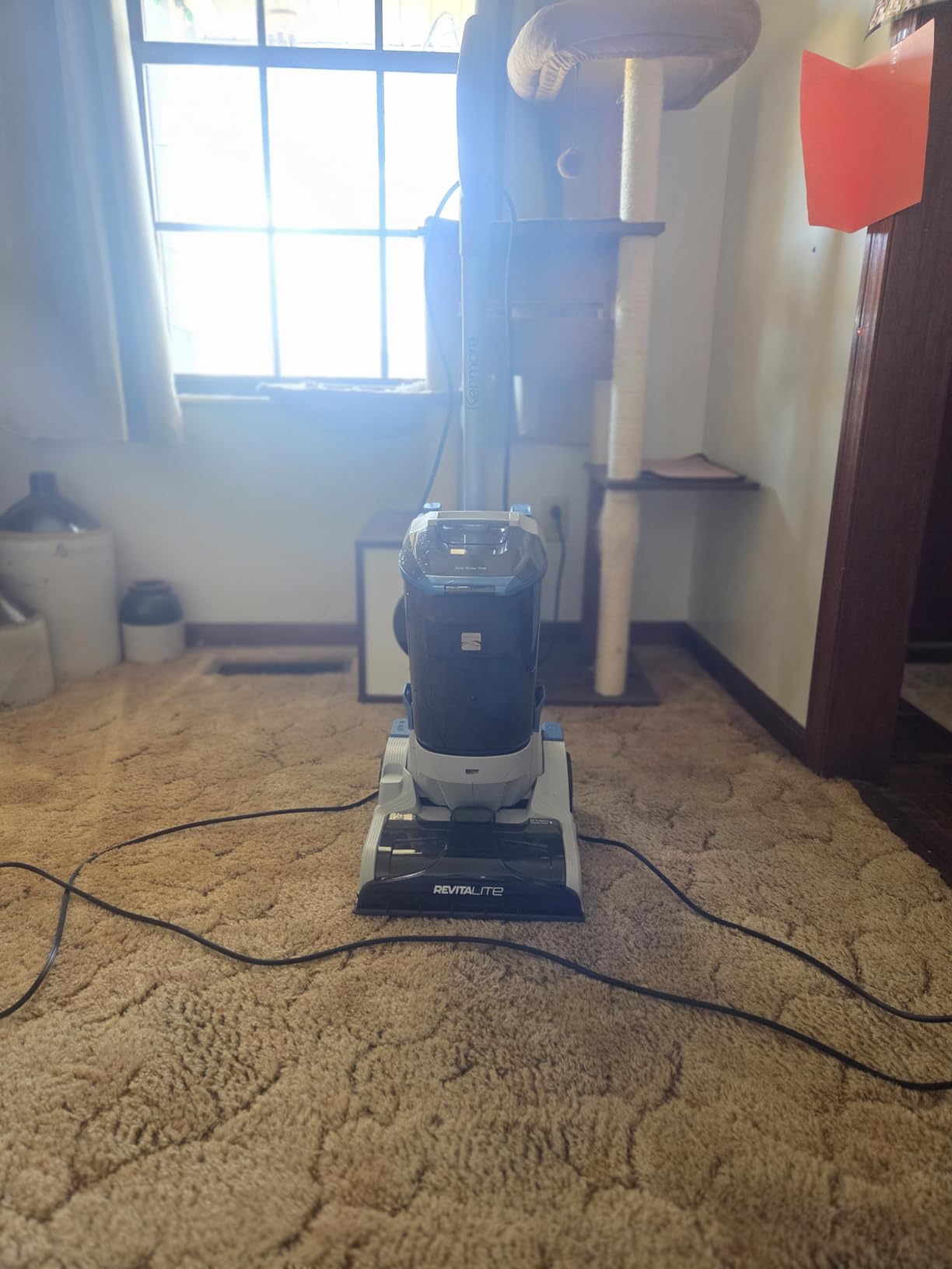 Kenmore Pet Portable Carpet Cleaner Machine with High Cleaning Power customer photo 1