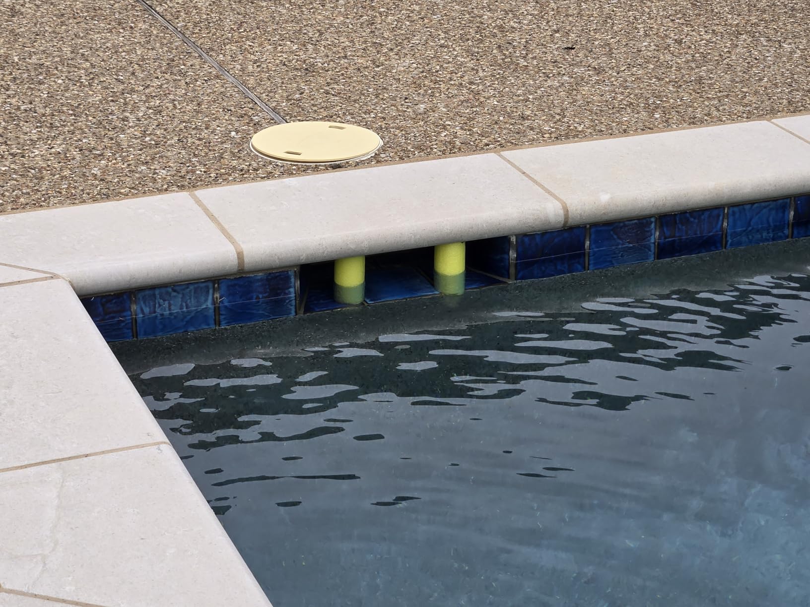 Betta SE Plus Solar Powered Robotic Pool Skimmer with Carrying and Storage Bag, 24/7 Continuous Cleaning Battery Power, Dual Charging Options, and Anti-Stuck Foam Noodle customer photo 1