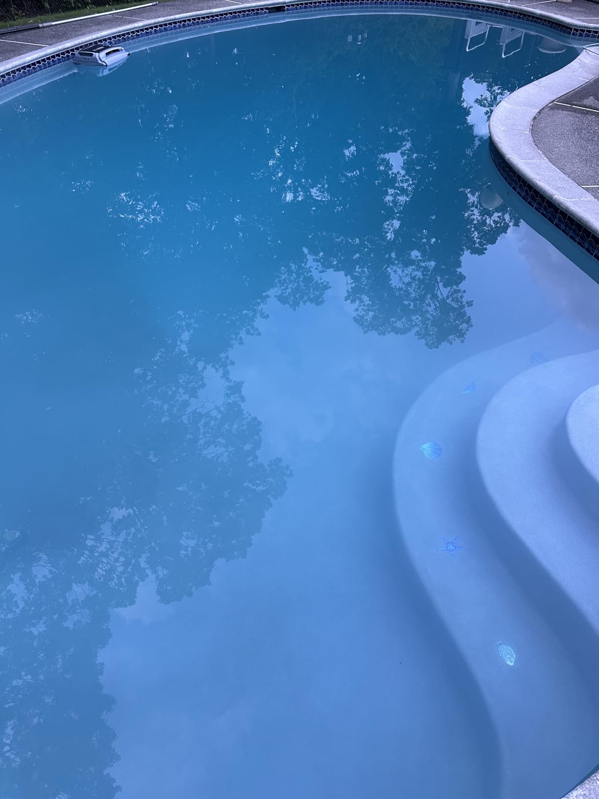 Betta SE Plus Solar Powered Robotic Pool Skimmer with Carrying and Storage Bag, 24/7 Continuous Cleaning Battery Power, Dual Charging Options, and Anti-Stuck Foam Noodle customer photo 2