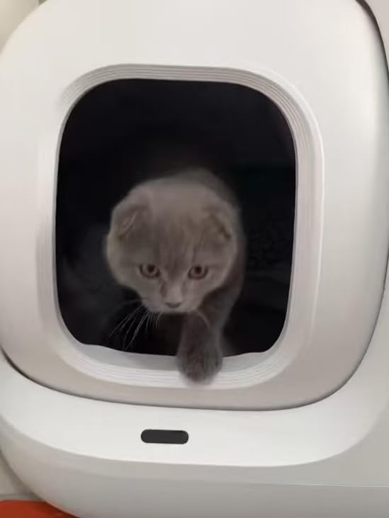 PETKIT PuraMax 2 Odor Free Automatic Cat Litter Box,with 2-Year Coverage customer photo 2