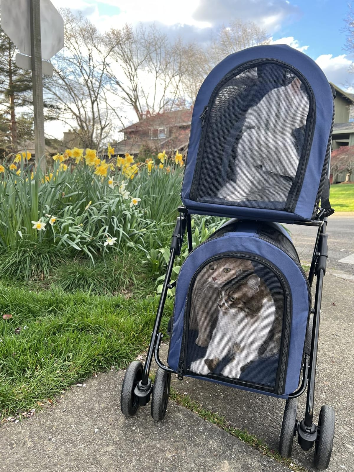 Giantex Double Pet Stroller with 2 Detachable Carrier Bags, Safety Belt, 4 Lockable Wheels, Folding Cat & Dog Stroller for Small Medium Pets, Cats Dogs Puppy Travel Strolling Cart (Pink) customer photo 1