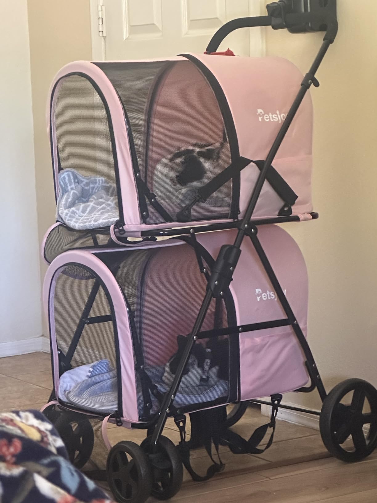 Giantex Double Pet Stroller with 2 Detachable Carrier Bags, Safety Belt, 4 Lockable Wheels, Folding Cat & Dog Stroller for Small Medium Pets, Cats Dogs Puppy Travel Strolling Cart (Pink) customer photo 2