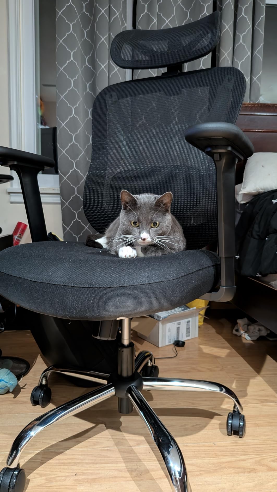 HOLLUDLE Ergonomic Mesh Office Chair - 3D Adjustable Lumbar Support & 3D Armrests, V-Shaped Back, Adjustable Desk Chair for Office & Home, White customer photo 2