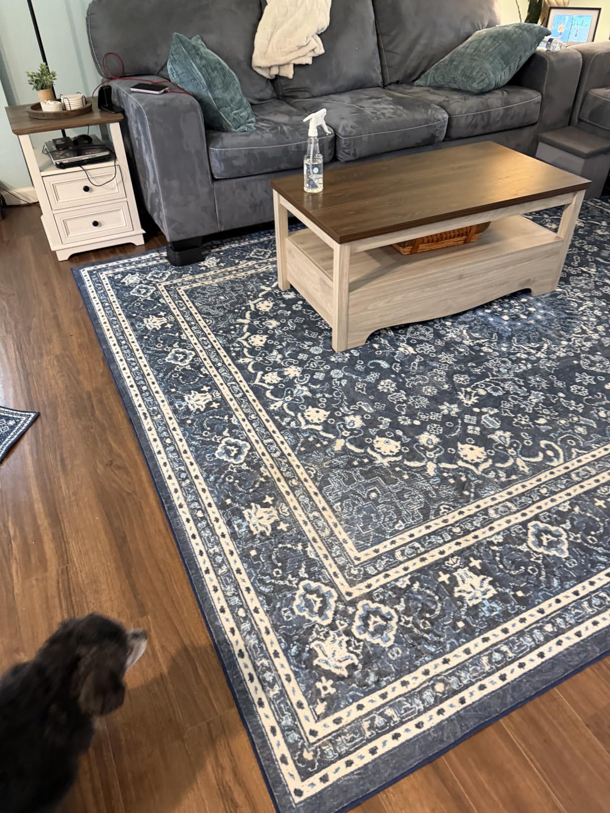 Lessymo 8 x 10 Area Rugs for Living Room, Machine Washable Rug Grey White customer photo 1