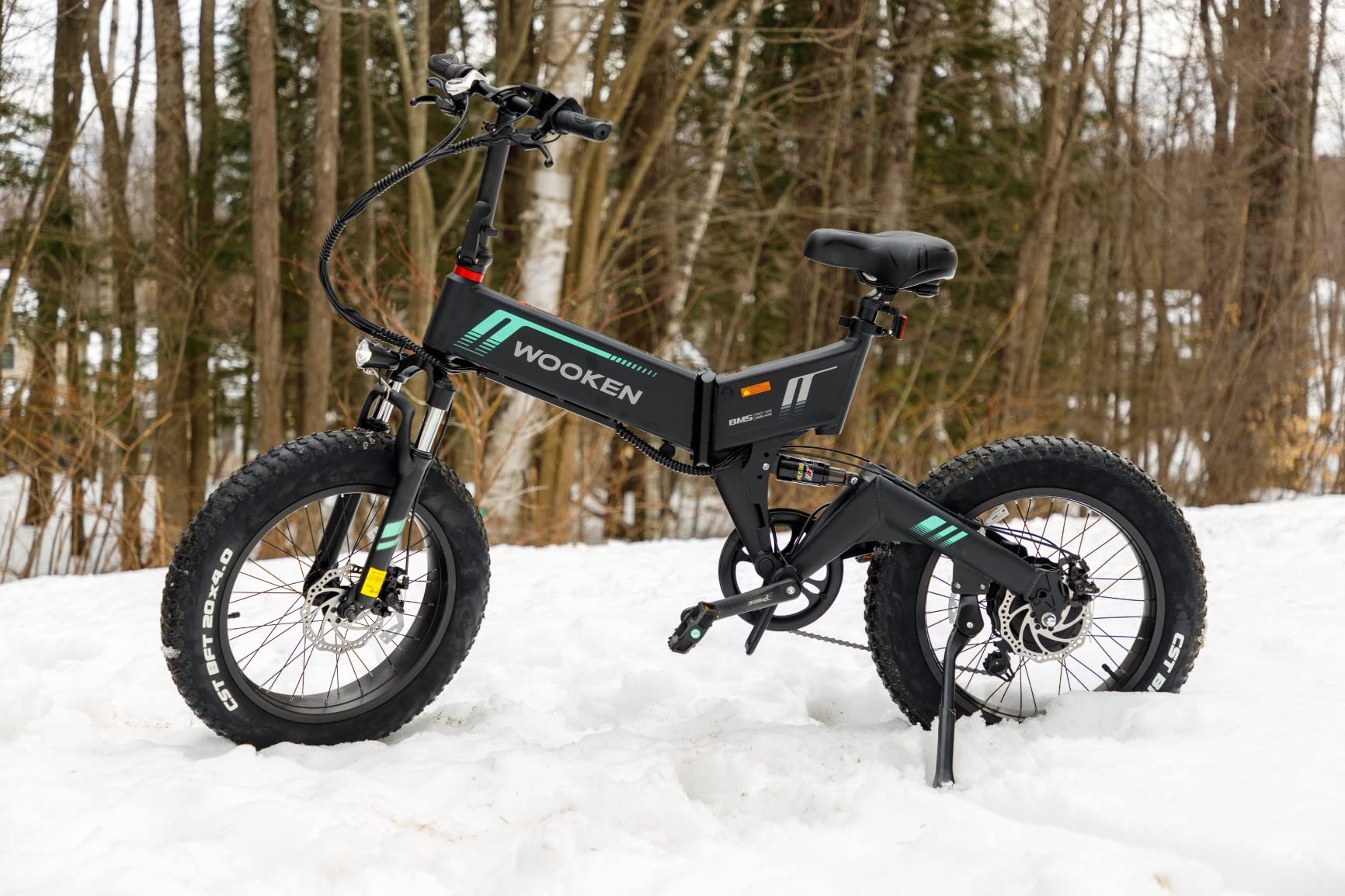 Wooken Electric Bike, 20''X4.0 Fat Tire Electric Bike for Adults customer photo 2