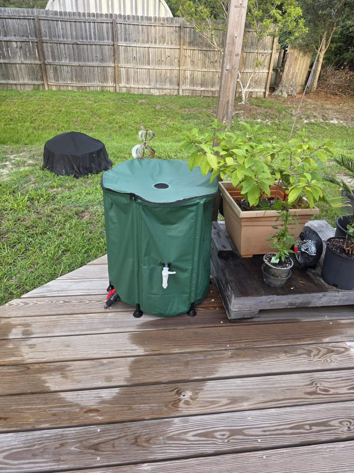 Collapsible Rain Barrel Water Storage Containers-53 Gallon Portable Rainwater Collect System Water Tank to Collect Rainwater from Gutter Downspout Water Catcher with Spigots,Filter&Overflow Kits customer photo 1