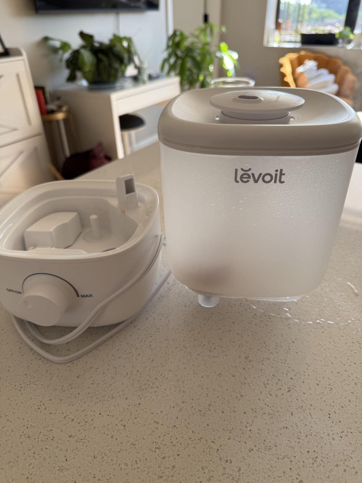 Levoit Evaporative Humidifiers for Bedroom Baby, Dual Air and Water Filters customer photo 1