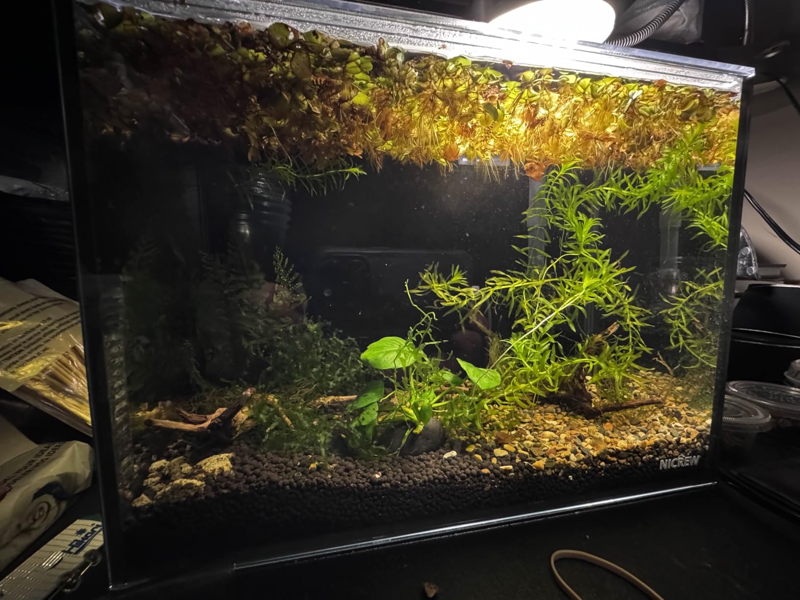 NICREW 2.5 Gallon Nano Nature Aquarium Kit Betta Fish Tank, Complete, Black customer photo 2