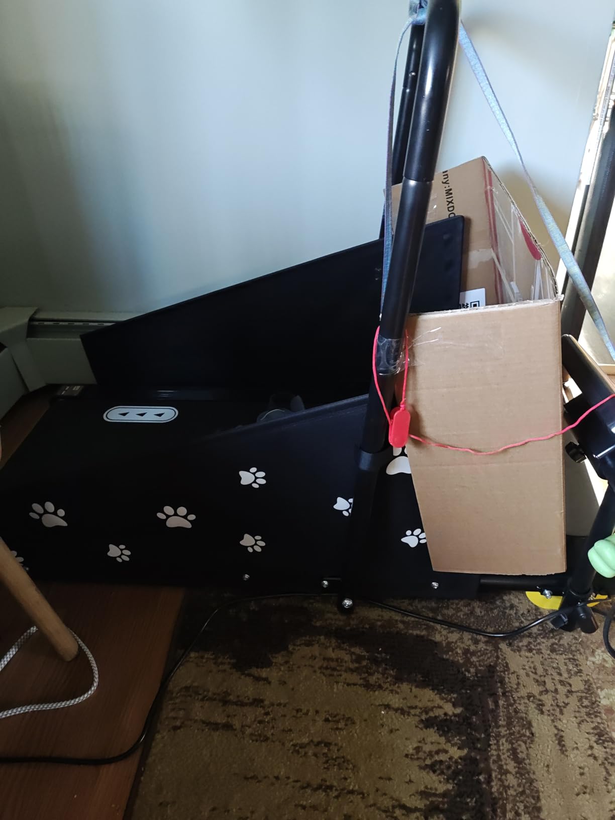 CIIHI Dog Treadmill for Medium Small Dogs - Pet Running Machine customer photo 2