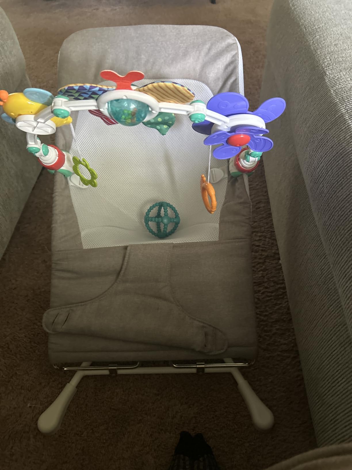 Baby Delight Highland Baby Bouncer, Sage Tweed customer photo 1