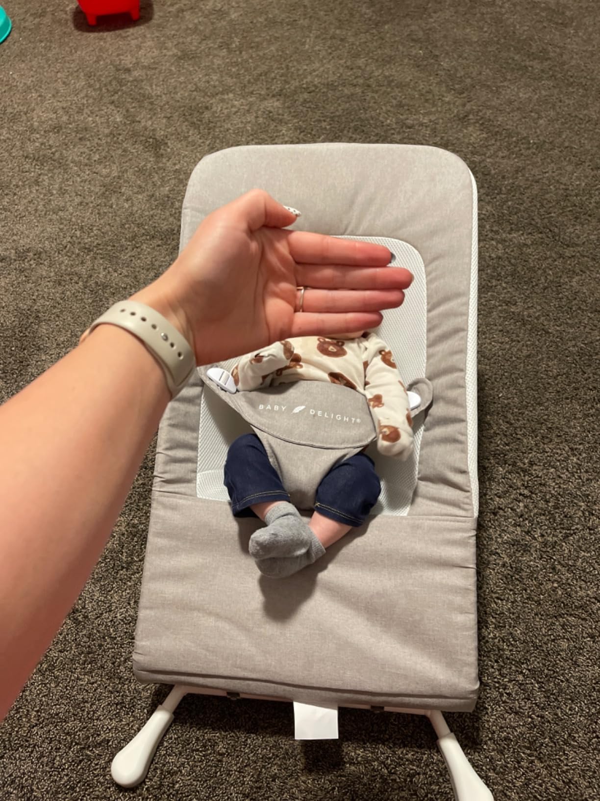 Baby Delight Highland Baby Bouncer, Sage Tweed customer photo 2