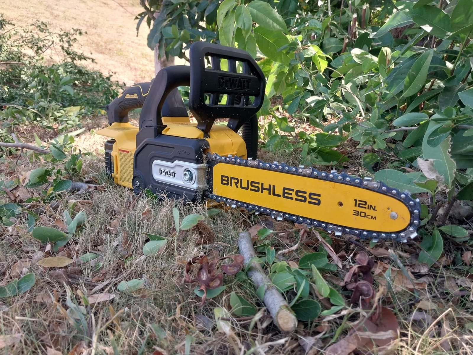 20V MAX 12 in. Cordless Battery Powered Chainsaw (Tool Only) customer photo 2
