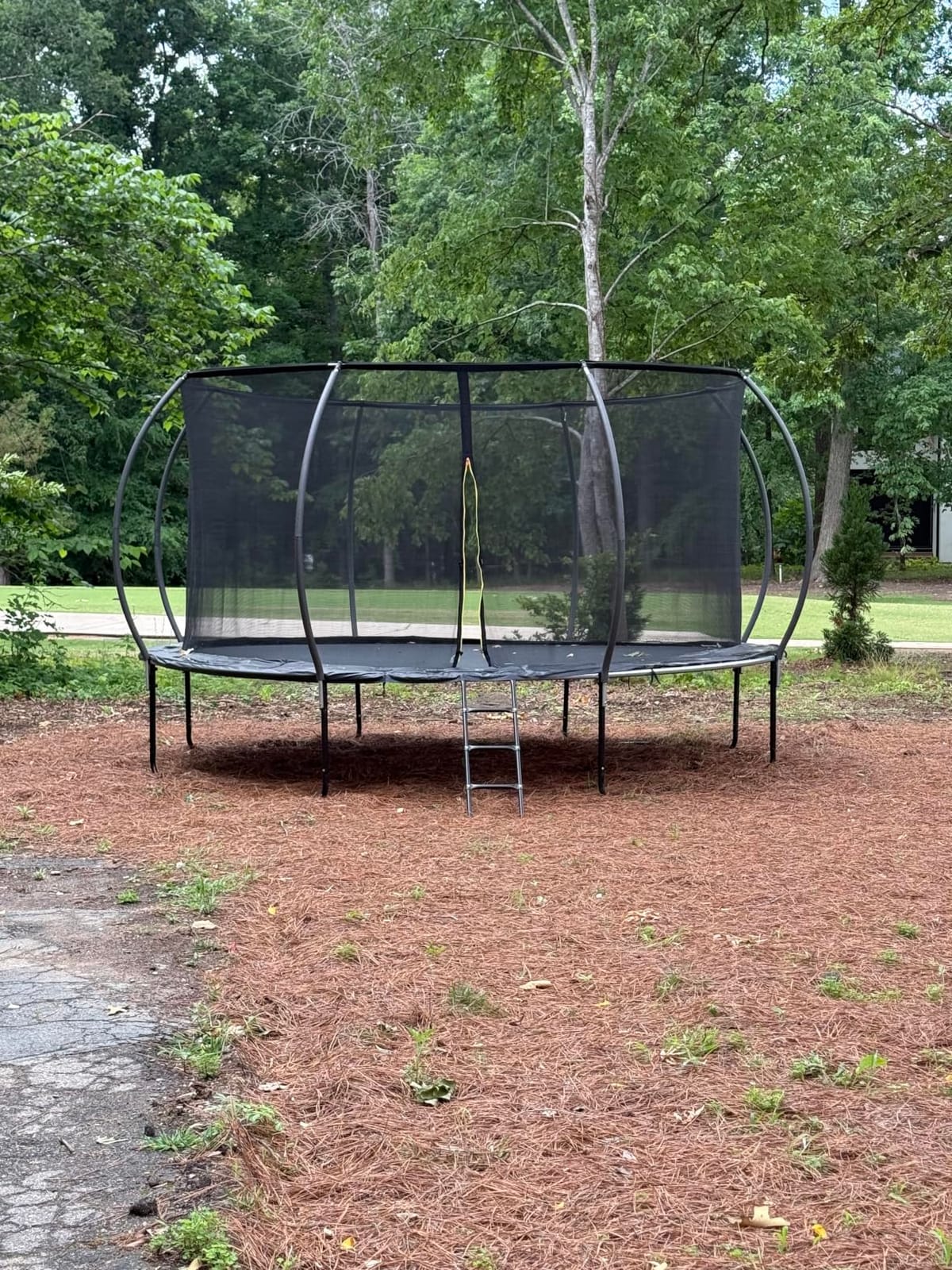 Gigu 10FT 12FT 14FT 15FT 16FT Recreational Trampolines with Enclosure Net and Ladder and Anti-Rust Coating, ASTM Approved Trampoline Outdoor for Kids and Adults Outdoor Yard Trampolines customer photo 2