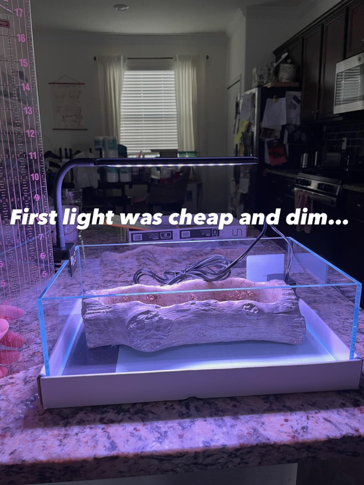 FZONE Solo Series Nano LED Aquarium Light, Full Spectrum and Dimmable, App-Controlled, for Freshwater and Planted Tanks customer photo 1
