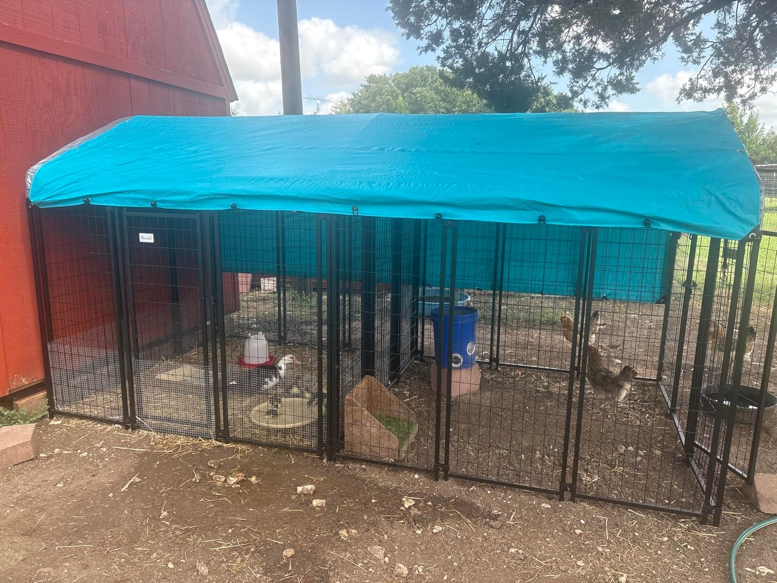 PawHut Outdoor Dog Kennel with Roof, 6' x 6' x 6' Heavy Duty Welded Wire Dog Playpen Enclosure with Escape-Proof Lock, UV-Resistant & Waterproof Cover, for Large Dogs, Chickens, Ducks, Silver | Heavy Duty Welded Wire Dog Playpen Enclosure, Escape-proof Lock, UV-Resistant & Waterproof Cover, for Chickens, Ducks customer photo 2