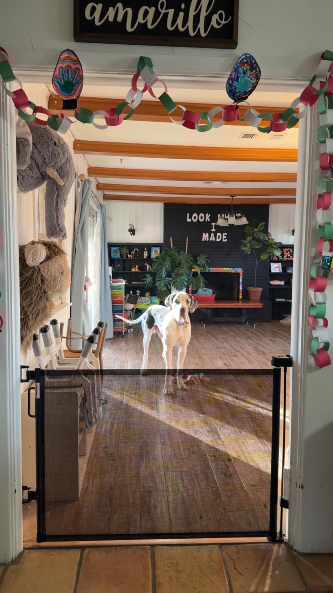 Retractable Baby Gate for Stairs & Doorways, Dog Gate Indoor Outdoor customer photo 1