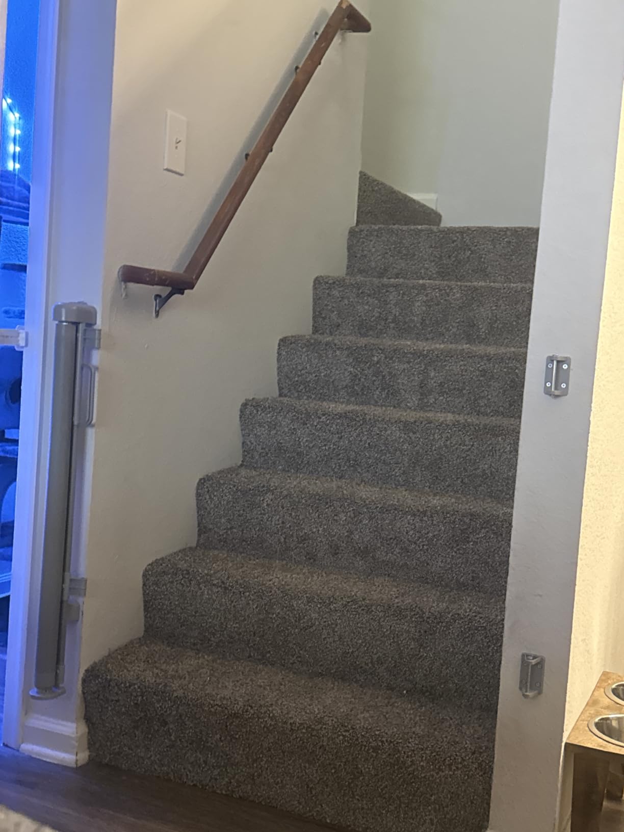 Retractable Baby Gate for Stairs & Doorways, Dog Gate Indoor Outdoor customer photo 2