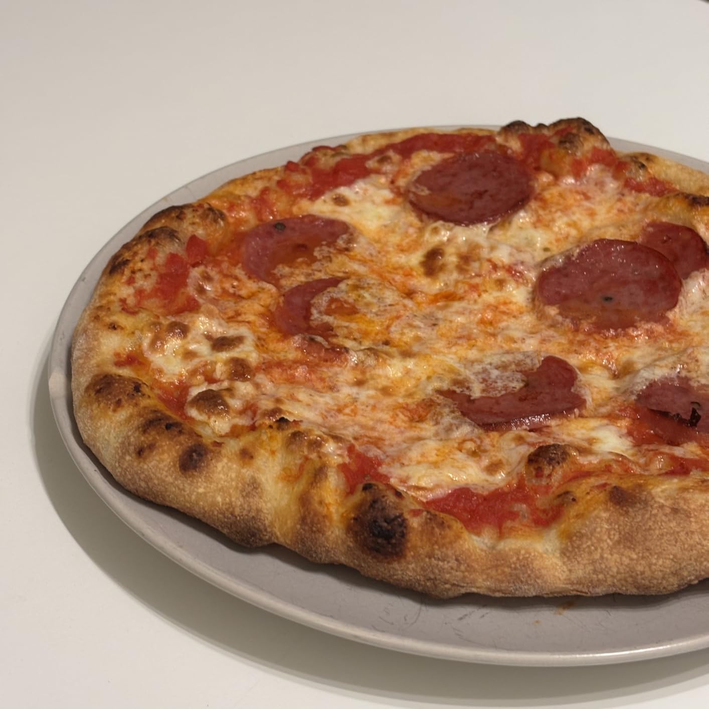 BIG HORN 14-Inch Indoor Pizza Oven, 850°F Electric Countertop Pizza Oven customer photo 1